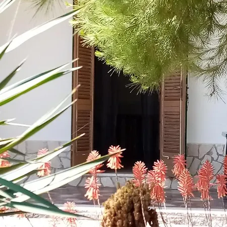 Aloe Torre Vado